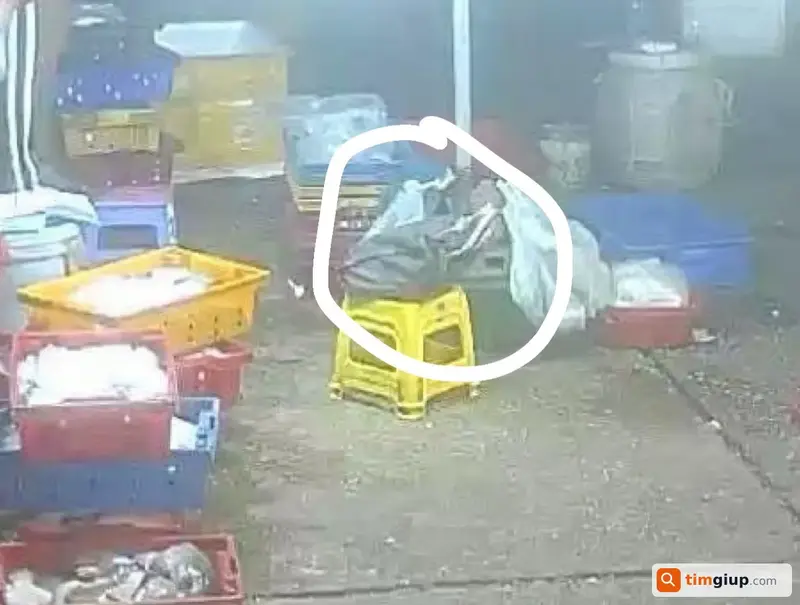 Tìm túi đựng sổ sách bị rơi tại thành phố Huế