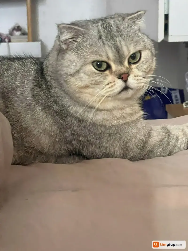 Ảnh 2