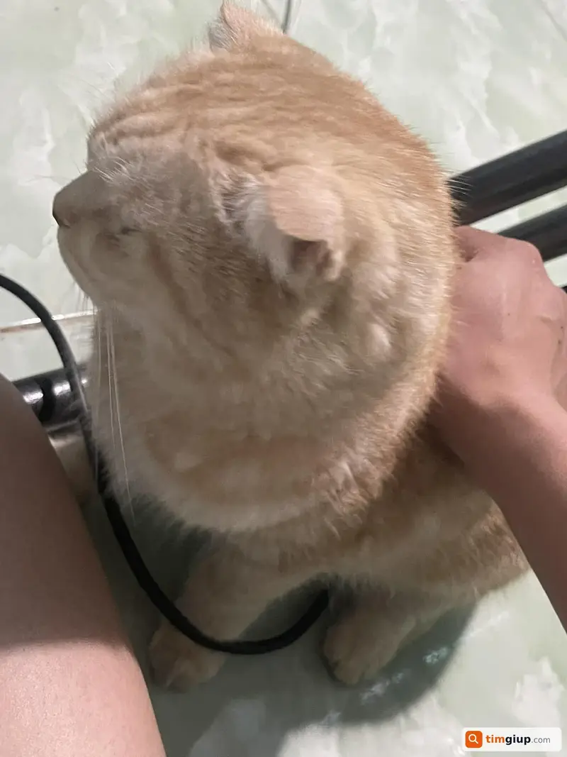 Ảnh 3