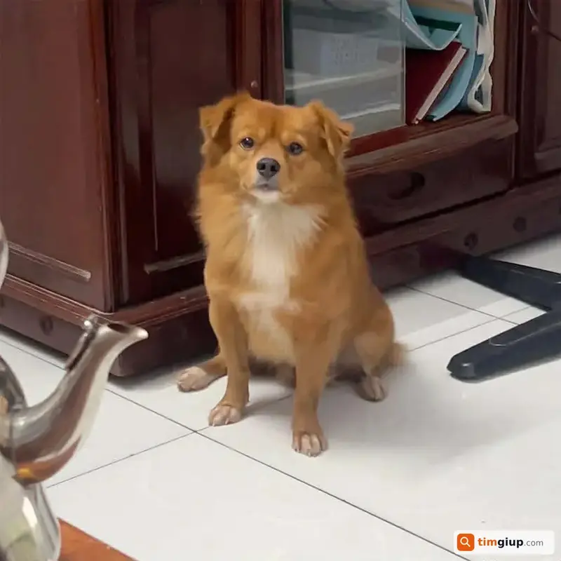 Ảnh 2