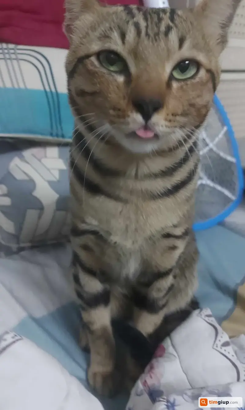 Ảnh 2