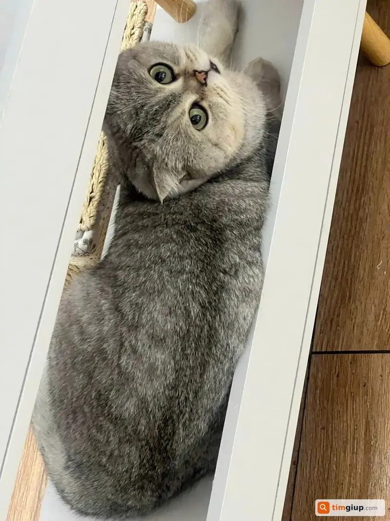 Ảnh 3