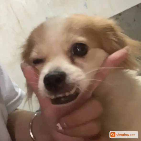 Ảnh 2