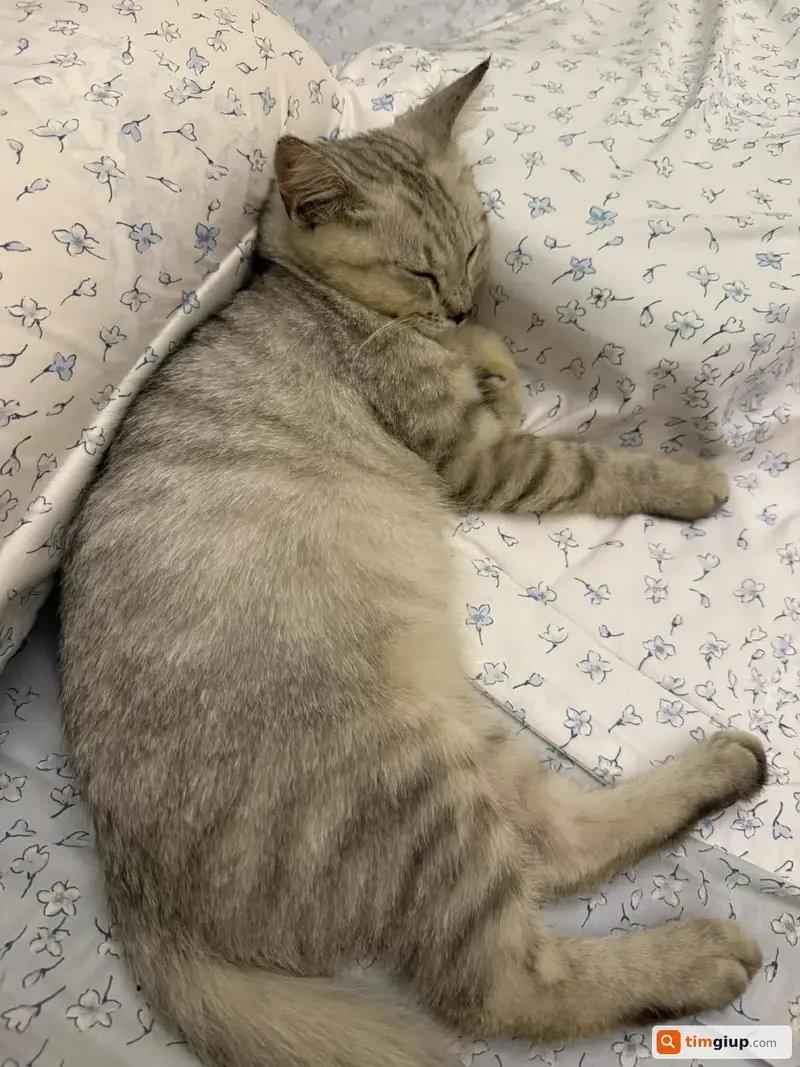 Ảnh 3