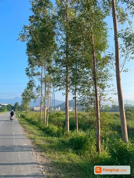 Ảnh 3