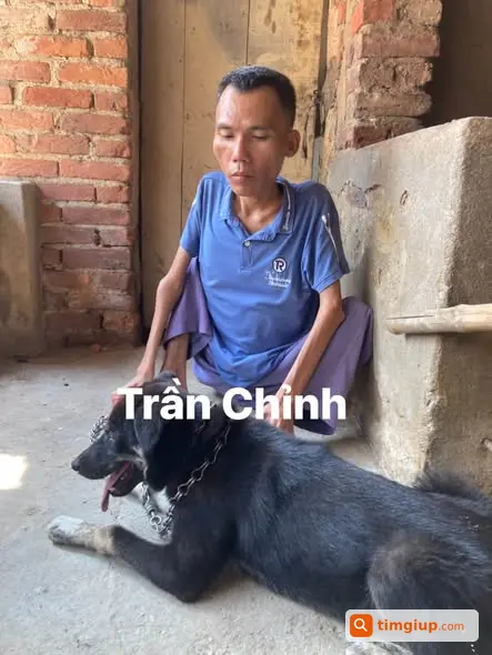 Ảnh 4