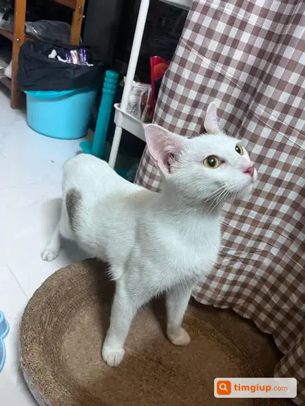 Ảnh 3