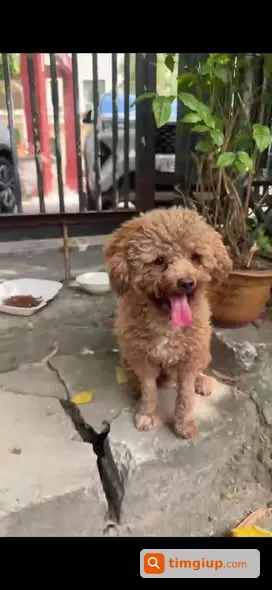 Ảnh 2