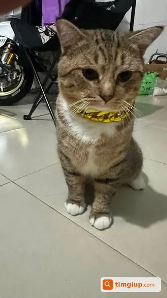 Ảnh 2