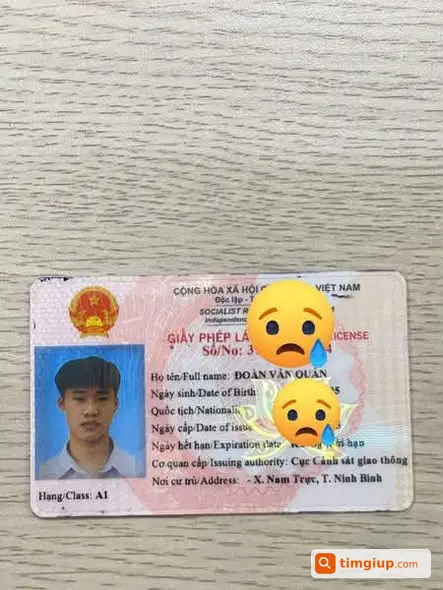 Ảnh 2
