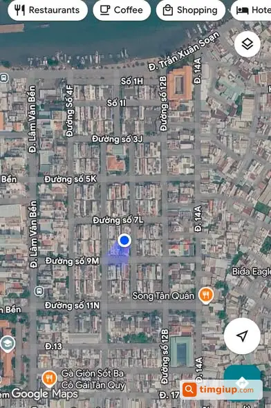 Tìm Mèo Xám Thất Lạc Gần Lâm Văn Bền, Quận 7, TP.HCM