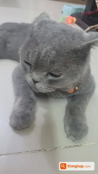 Ảnh 2
