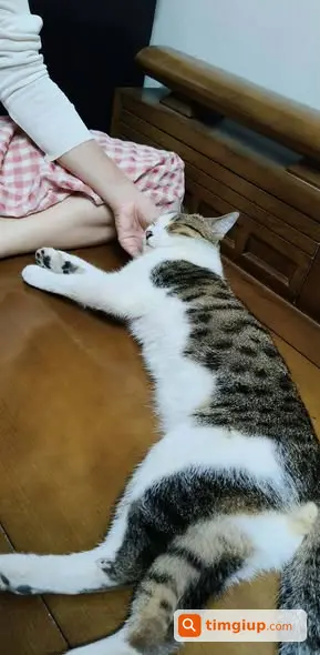 Ảnh 3