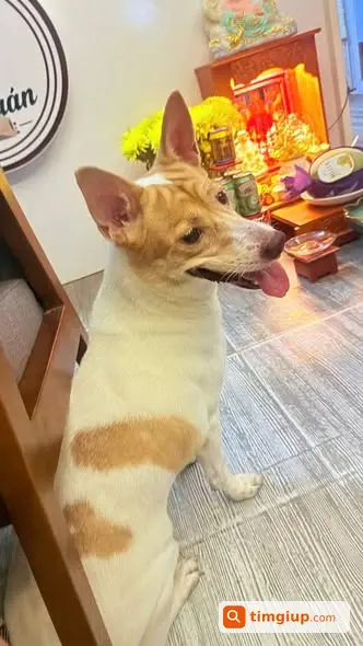 Ảnh 2
