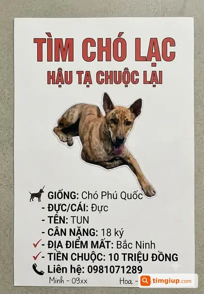 Ảnh 2