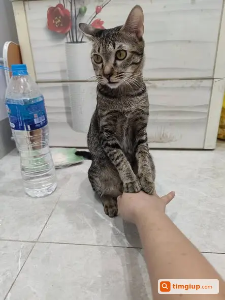 Ảnh 3