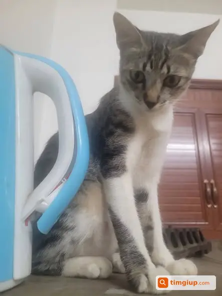 Ảnh 3