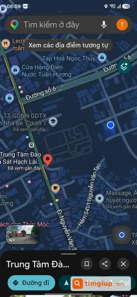 Mèo Cam Thất Lạc Tại Đường Nguyễn Văn Tạo, Nhà Bè