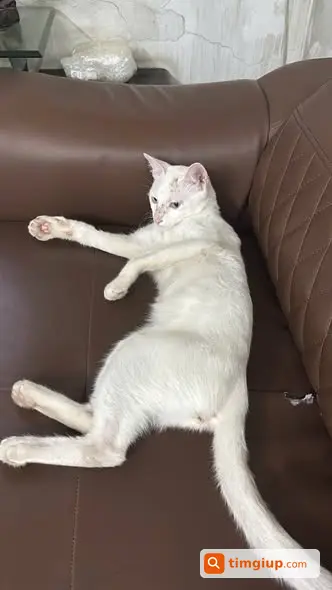 Ảnh 3