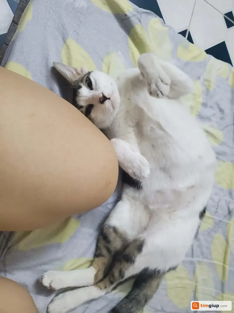 Ảnh 2