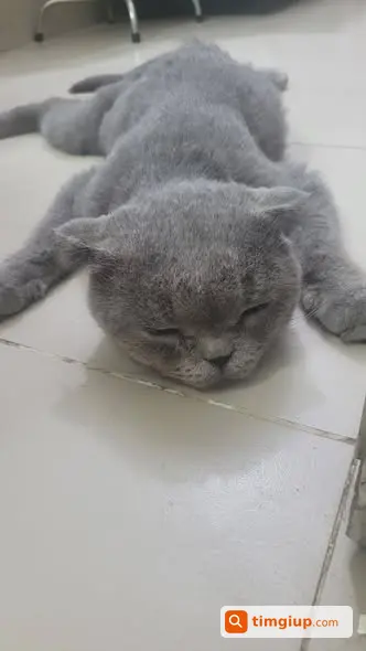 Ảnh 3