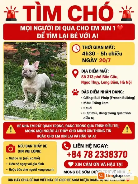Tìm Chó Thất Lạc 5 Tuổi Tại Bắc Cầu, Long Biên, Hà Nội