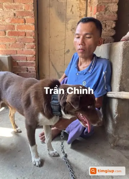 Ảnh 5