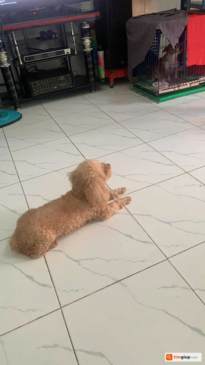 Ảnh 2