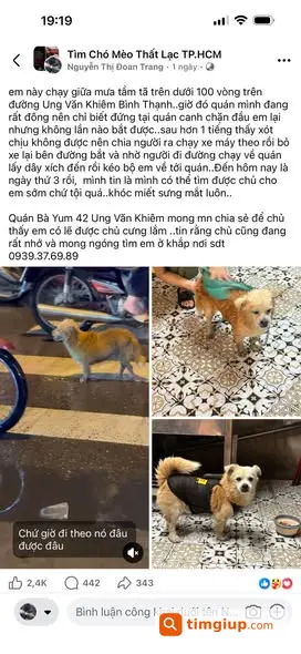 Ảnh 2