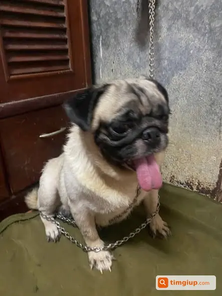 Ảnh 2