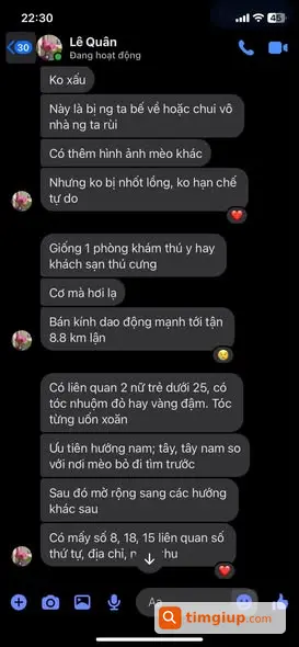 Ảnh 2