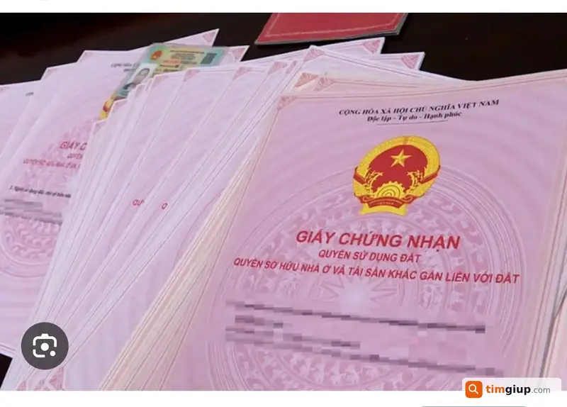 Tìm sổ hồng nhà đất đứng tên Đặng Thị Tuyết Anh tại Quận 12, TP.HCM