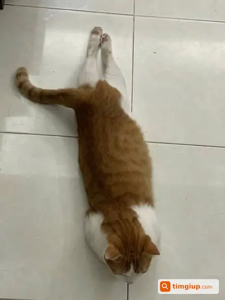 Ảnh 5