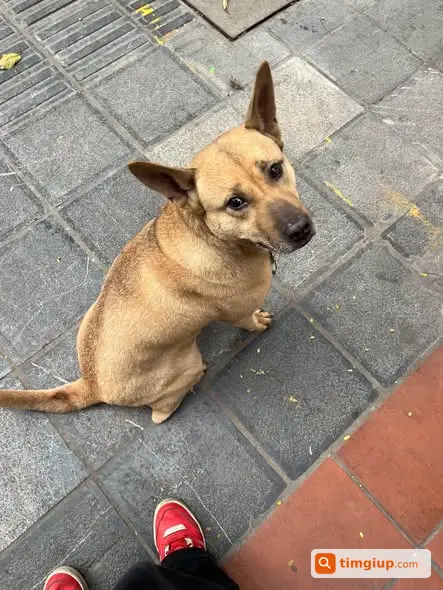Ảnh 2