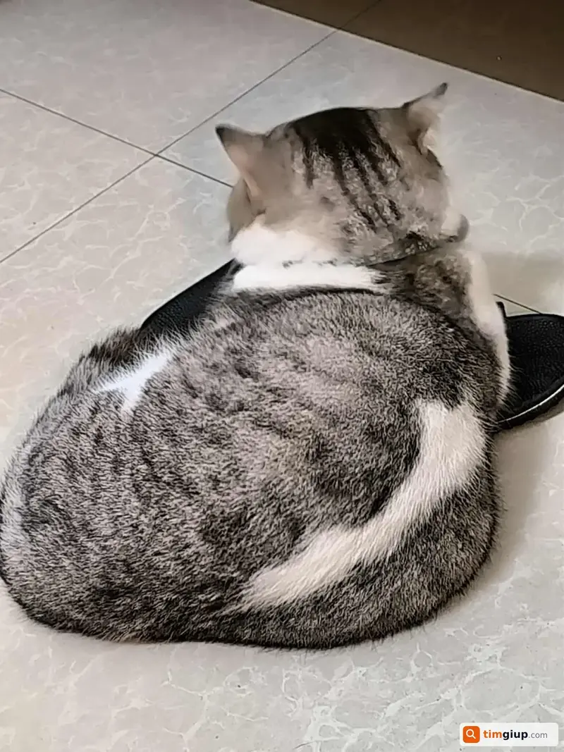 Ảnh 3