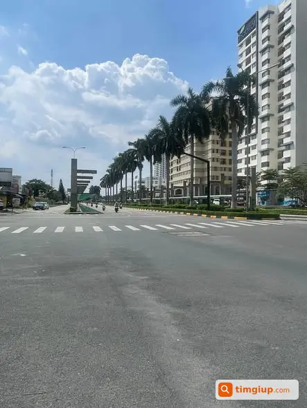 Ảnh 2