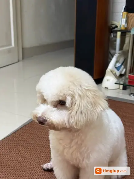 Ảnh 2
