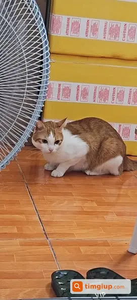 Ảnh 2