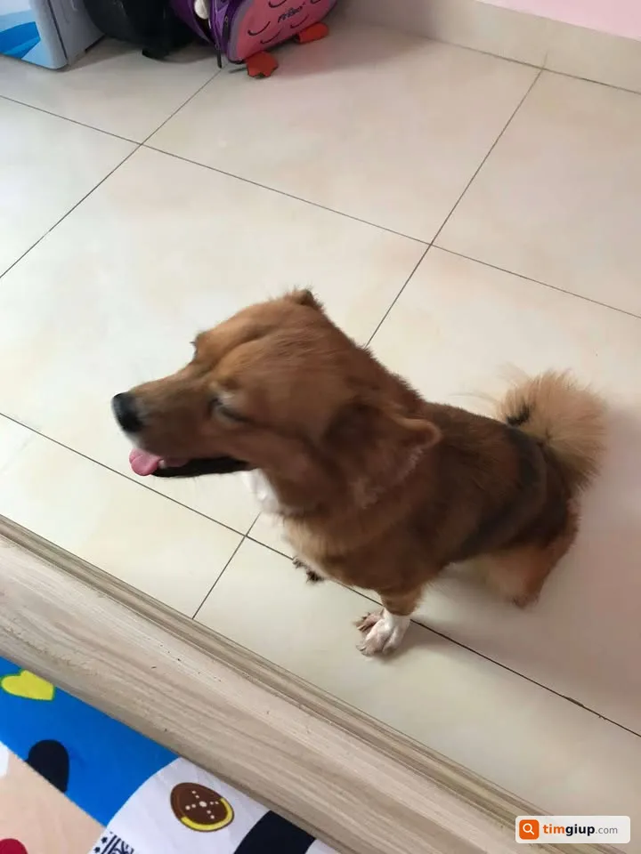 Ảnh 3