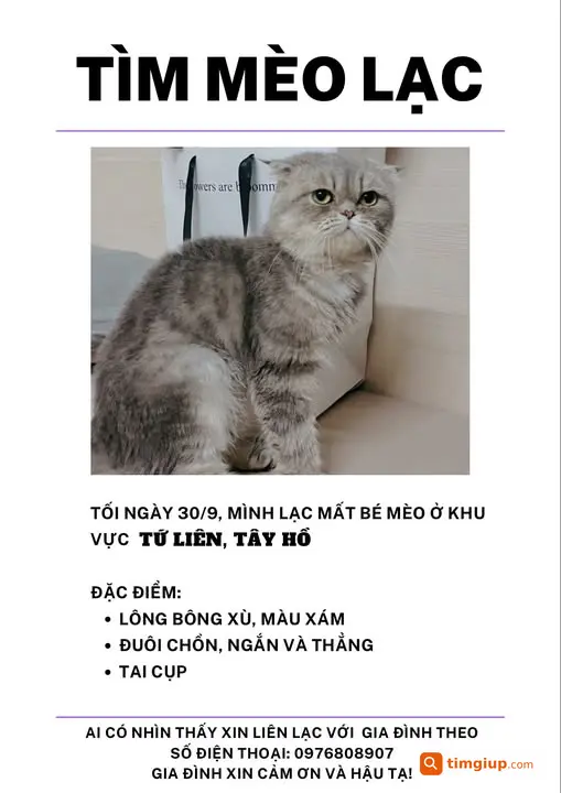 Tìm Mèo Thất Lạc Tối 30-9 Tại Khu Vực Tứ Liên, Tây Hồ, Hà Nội