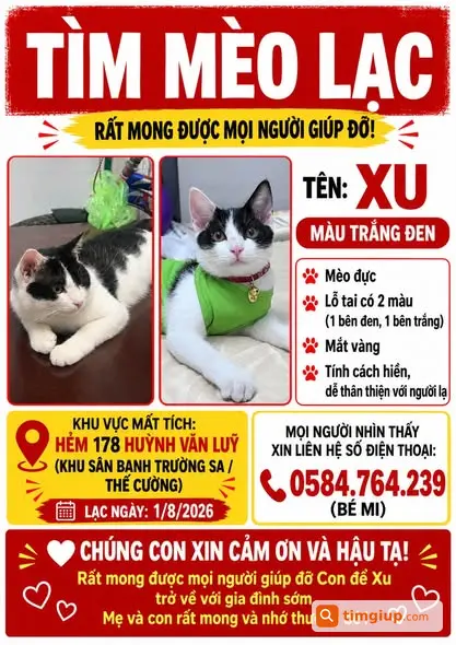 Tìm Mèo Trắng Đen Tên Xu Thất Lạc Tại Phú Lợi, Bình Dương