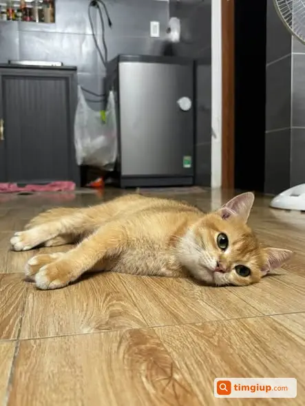 Ảnh 3